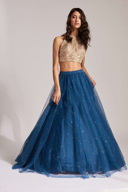 Lehenga outfit with tulle can can skirt underneath